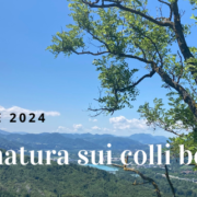 Scrittura e natura sui colli bolognesi